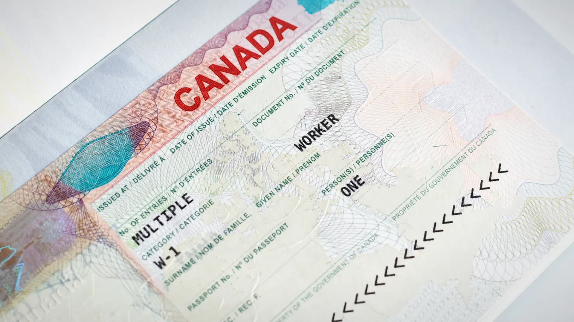 Immigration Services